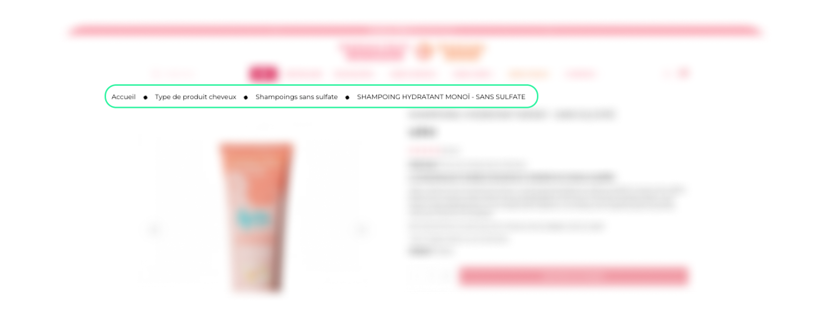 Exemple de section avec du texte et une FAQ